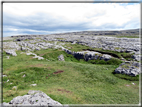 foto Parco nazionale del Burren